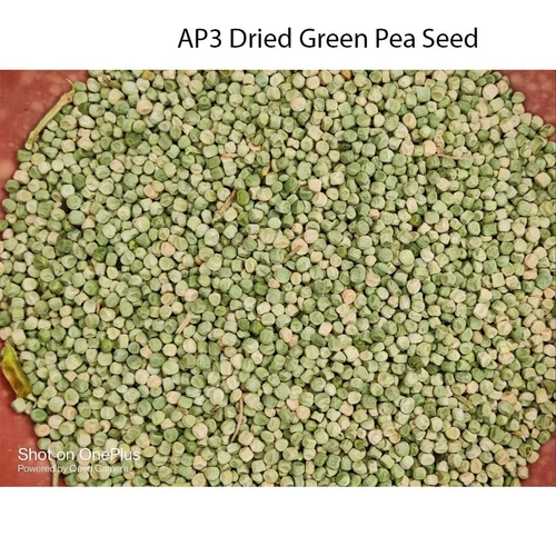 AP3 Dried Green Pea Seed